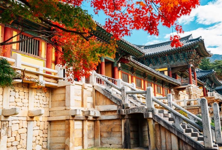 Private Tour: South Korea